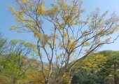 2여선교회 나들…